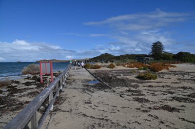 Penguen Adası, Avustralya 31 Mayıs 2025: Penguen Adası ve Rockingham, Perth Shoalwater
