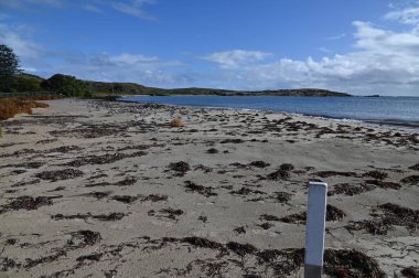 Penguen Adası, Avustralya 31 Mayıs 2025: Penguen Adası ve Rockingham, Perth Shoalwater