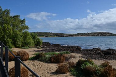 Penguen Adası, Avustralya 31 Mayıs 2025: Penguen Adası ve Rockingham, Perth Shoalwater