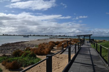 Penguen Adası, Avustralya 31 Mayıs 2025: Penguen Adası ve Rockingham, Perth Shoalwater