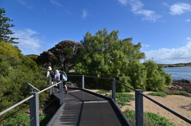 Penguen Adası, Avustralya 31 Mayıs 2025: Penguen Adası ve Rockingham, Perth Shoalwater