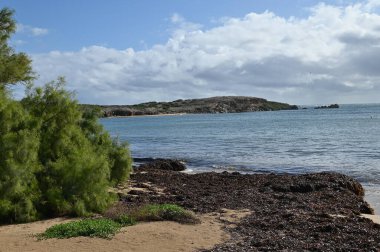 Penguen Adası, Avustralya 31 Mayıs 2025: Penguen Adası ve Rockingham, Perth Shoalwater