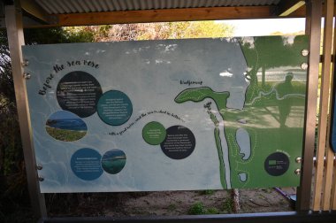 Penguen Adası, Avustralya 31 Mayıs 2025: Penguen Adası ve Rockingham, Perth Shoalwater