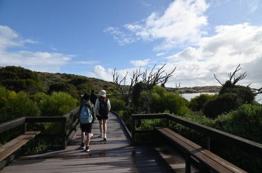 Penguen Adası, Avustralya 31 Mayıs 2025: Penguen Adası ve Rockingham, Perth Shoalwater