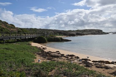 Penguen Adası, Avustralya 31 Mayıs 2025: Penguen Adası ve Rockingham, Perth Shoalwater