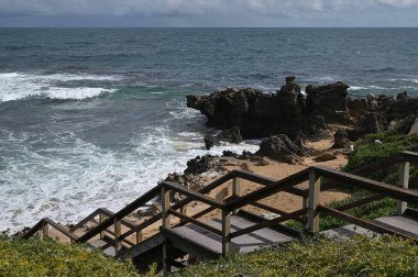 Penguen Adası, Avustralya 31 Mayıs 2025: Penguen Adası ve Rockingham, Perth Shoalwater