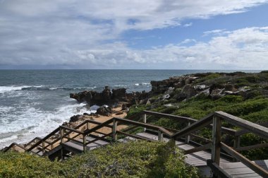 Penguen Adası, Avustralya 31 Mayıs 2025: Penguen Adası ve Rockingham, Perth Shoalwater