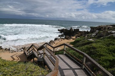 Penguen Adası, Avustralya 31 Mayıs 2025: Penguen Adası ve Rockingham, Perth Shoalwater