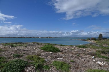 Penguen Adası, Avustralya 31 Mayıs 2025: Penguen Adası ve Rockingham, Perth Shoalwater