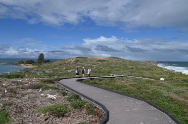 Penguen Adası, Avustralya 31 Mayıs 2025: Penguen Adası ve Rockingham, Perth Shoalwater
