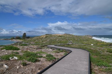 Penguen Adası, Avustralya 31 Mayıs 2025: Penguen Adası ve Rockingham, Perth Shoalwater