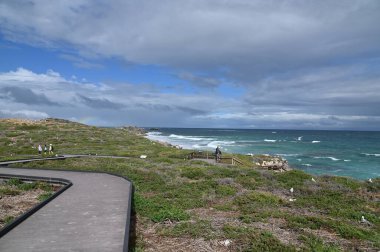 Penguen Adası, Avustralya 31 Mayıs 2025: Penguen Adası ve Rockingham, Perth Shoalwater