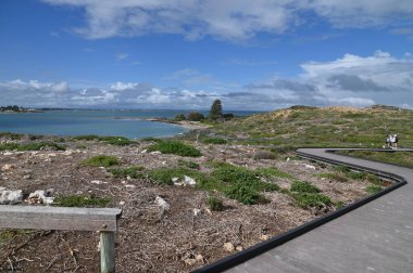 Penguen Adası, Avustralya 31 Mayıs 2025: Penguen Adası ve Rockingham, Perth Shoalwater