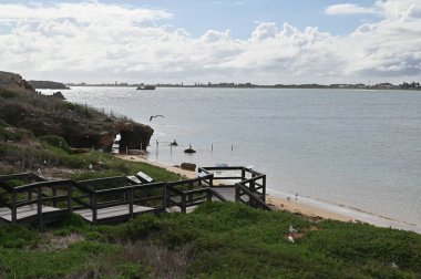 Penguen Adası, Avustralya 31 Mayıs 2025: Penguen Adası ve Rockingham, Perth Shoalwater