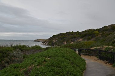 Penguen Adası, Avustralya 31 Mayıs 2025: Penguen Adası ve Rockingham, Perth Shoalwater