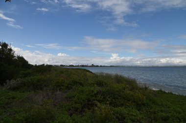 Penguen Adası, Avustralya 31 Mayıs 2025: Penguen Adası ve Rockingham, Perth Shoalwater