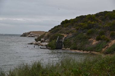 Penguen Adası, Avustralya 31 Mayıs 2025: Penguen Adası ve Rockingham, Perth Shoalwater