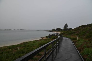 Penguen Adası, Avustralya 31 Mayıs 2025: Penguen Adası ve Rockingham, Perth Shoalwater