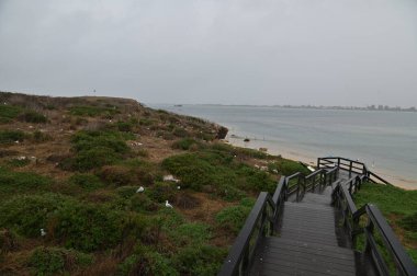 Penguen Adası, Avustralya 31 Mayıs 2025: Penguen Adası ve Rockingham, Perth Shoalwater