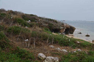 Penguen Adası, Avustralya 31 Mayıs 2025: Penguen Adası ve Rockingham, Perth Shoalwater