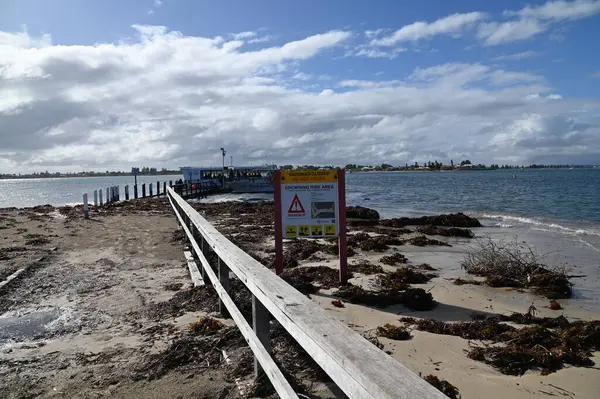 Penguen Adası, Avustralya 31 Mayıs 2025: Penguen Adası ve Rockingham, Perth Shoalwater