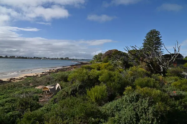 Penguen Adası, Avustralya 31 Mayıs 2025: Penguen Adası ve Rockingham, Perth Shoalwater