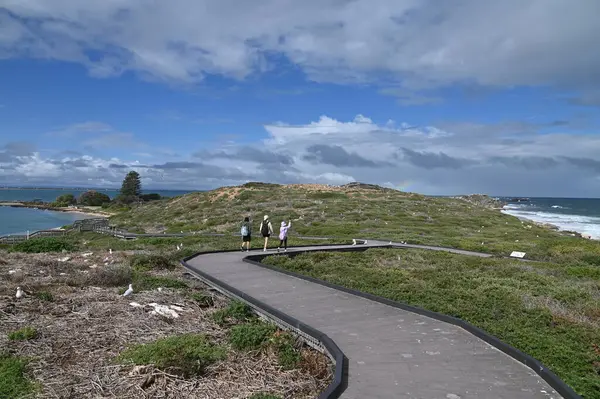 Penguen Adası, Avustralya 31 Mayıs 2025: Penguen Adası ve Rockingham, Perth Shoalwater