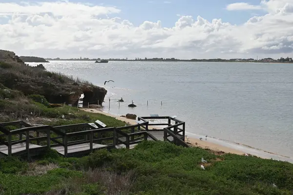 Penguen Adası, Avustralya 31 Mayıs 2025: Penguen Adası ve Rockingham, Perth Shoalwater
