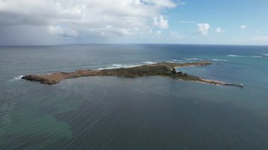 Penguen Adası, Avustralya 31 Mayıs 2025: Penguen Adası ve Rockingham, Perth Shoalwater