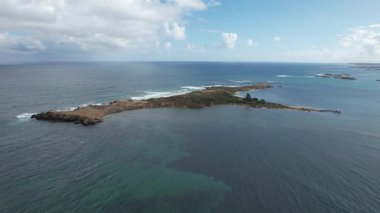 Penguen Adası, Avustralya 31 Mayıs 2025: Penguen Adası ve Rockingham, Perth Shoalwater