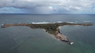 Penguen Adası, Avustralya 31 Mayıs 2025: Penguen Adası ve Rockingham, Perth Shoalwater