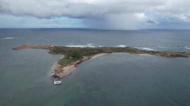 Penguen Adası, Avustralya 31 Mayıs 2025: Penguen Adası ve Rockingham, Perth Shoalwater