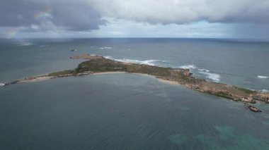 Penguen Adası, Avustralya 31 Mayıs 2025: Penguen Adası ve Rockingham, Perth Shoalwater