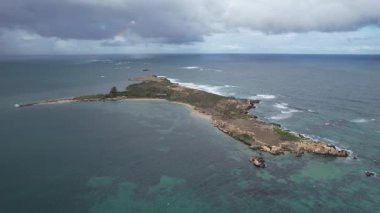 Penguen Adası, Avustralya 31 Mayıs 2025: Penguen Adası ve Rockingham, Perth Shoalwater