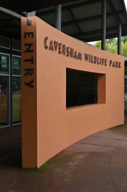 Whiteman, Avustralya 1 Haziran 2025: Caversham Vahşi Yaşam Parkı