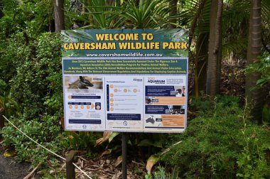 Whiteman, Avustralya 1 Haziran 2025: Caversham Vahşi Yaşam Parkı