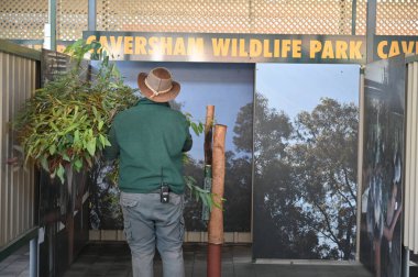 Whiteman, Avustralya 1 Haziran 2025: Caversham Vahşi Yaşam Parkı