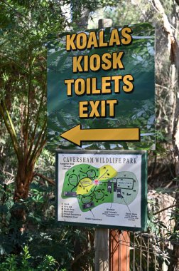 Whiteman, Avustralya 1 Haziran 2025: Caversham Vahşi Yaşam Parkı