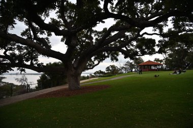 Perth, Avustralya 4 Haziran 2025: Perth CBD 'nin Krallar Parkı