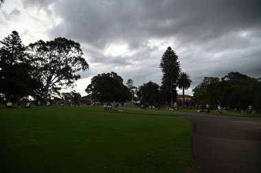 Perth, Avustralya 4 Haziran 2025: Perth CBD 'nin Krallar Parkı