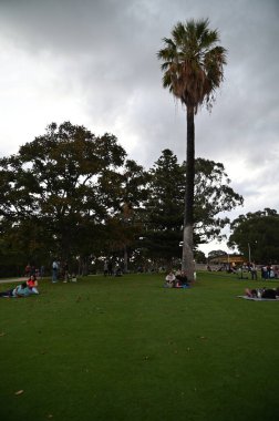 Perth, Avustralya 4 Haziran 2025: Perth CBD 'nin Krallar Parkı