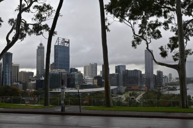 Perth, Avustralya 4 Haziran 2025: Perth CBD 'nin Krallar Parkı