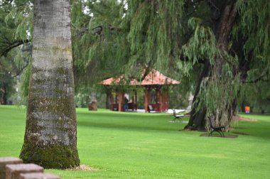 Perth, Avustralya 4 Haziran 2025: Perth CBD 'nin Krallar Parkı