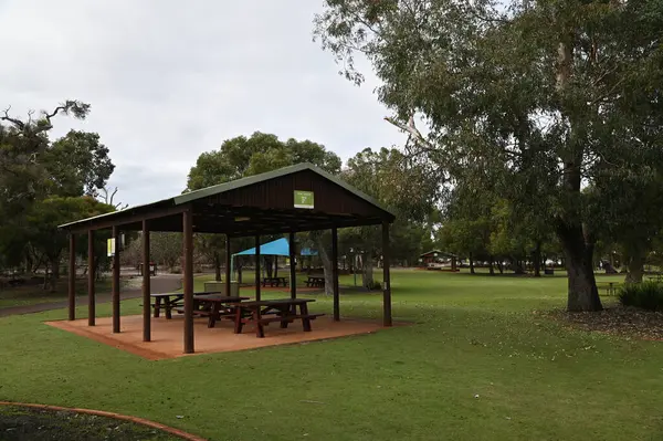 Whiteman, Avustralya 1 Haziran 2025: Caversham Vahşi Yaşam Parkı