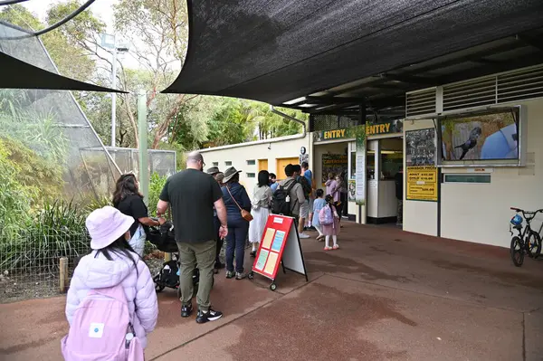 Whiteman, Avustralya 1 Haziran 2025: Caversham Vahşi Yaşam Parkı