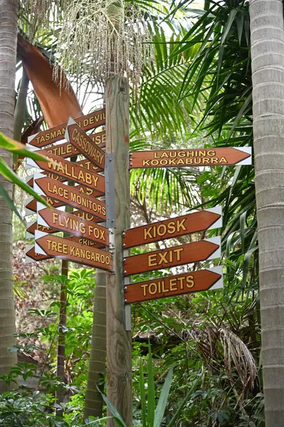 Whiteman, Avustralya 1 Haziran 2025: Caversham Vahşi Yaşam Parkı