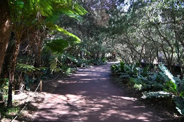 Whiteman, Avustralya 1 Haziran 2025: Caversham Vahşi Yaşam Parkı