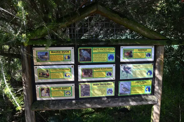 Whiteman, Avustralya 1 Haziran 2025: Caversham Vahşi Yaşam Parkı