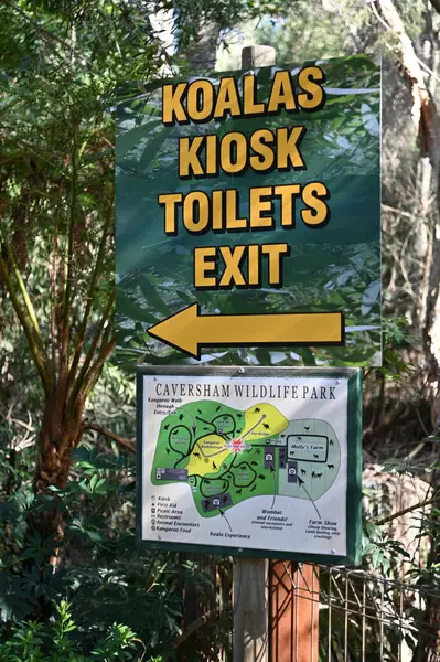 Whiteman, Avustralya 1 Haziran 2025: Caversham Vahşi Yaşam Parkı