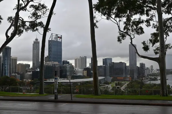 Perth, Avustralya 4 Haziran 2025: Perth CBD 'nin Krallar Parkı